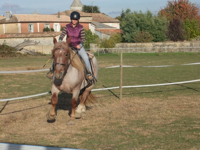 Photo de profil de tulipe17
