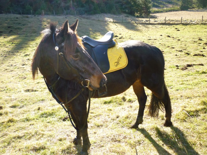 Photo de profil de fantasyah