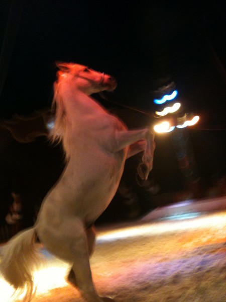 Photo de profil de wayland