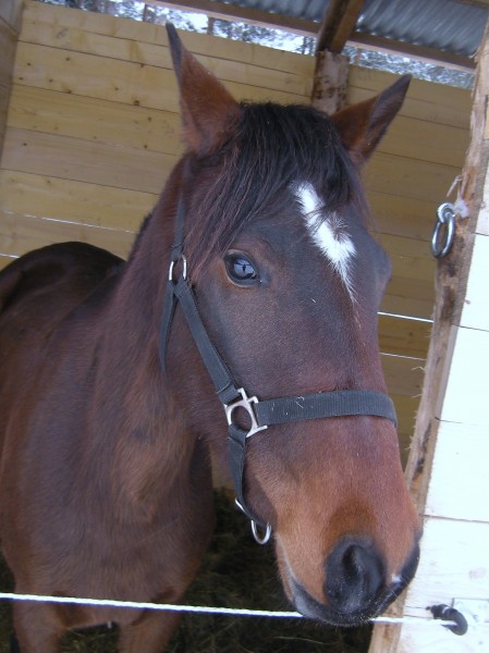 Photo de profil de mikette
