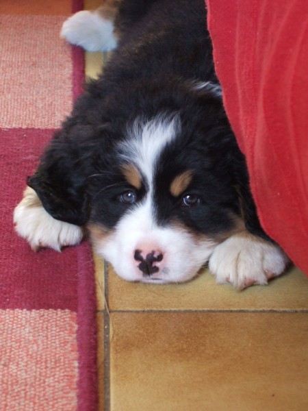 Photo de profil de lodylody