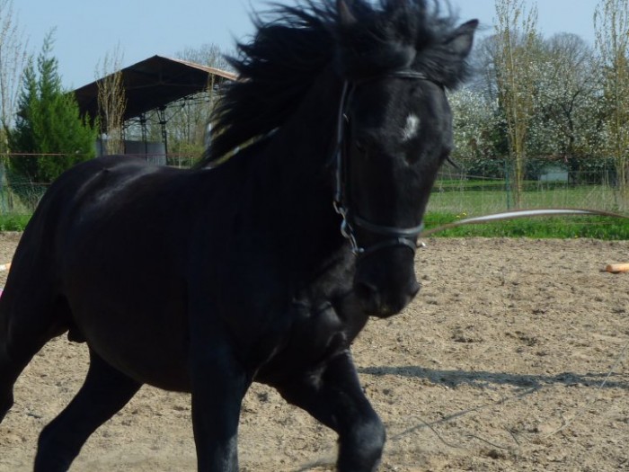 Photo de profil de cadoranne