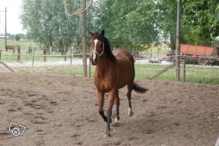 Photo de profil de lida