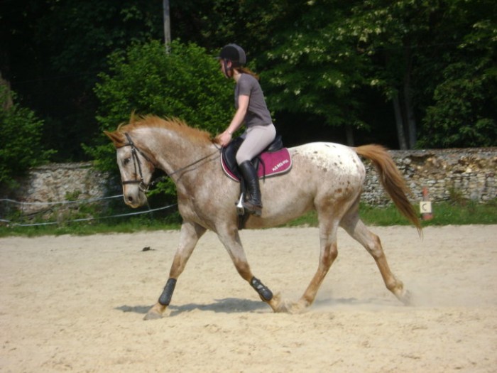 Photo de profil de lau2