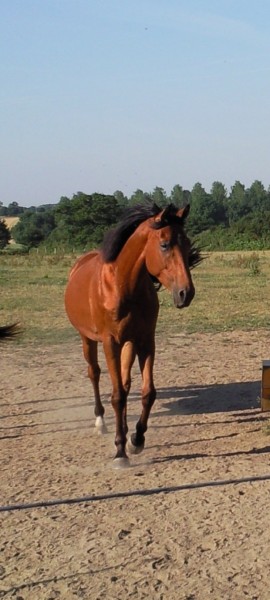 Photo de profil de carobzh35