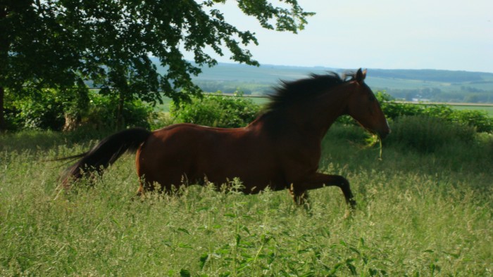 Photo de profil de utan