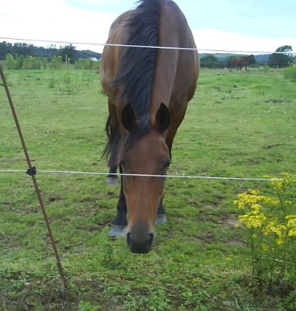 Photo de profil de cec29