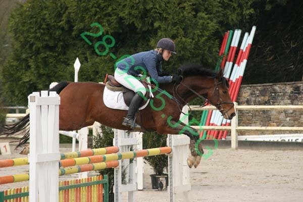 Photo de profil de poney.d