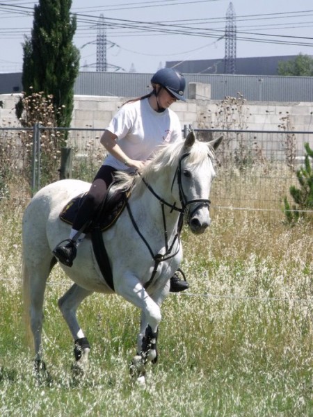 Photo de profil de erickarmine