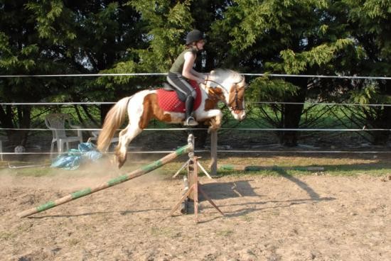 Photo de profil de marinedu95