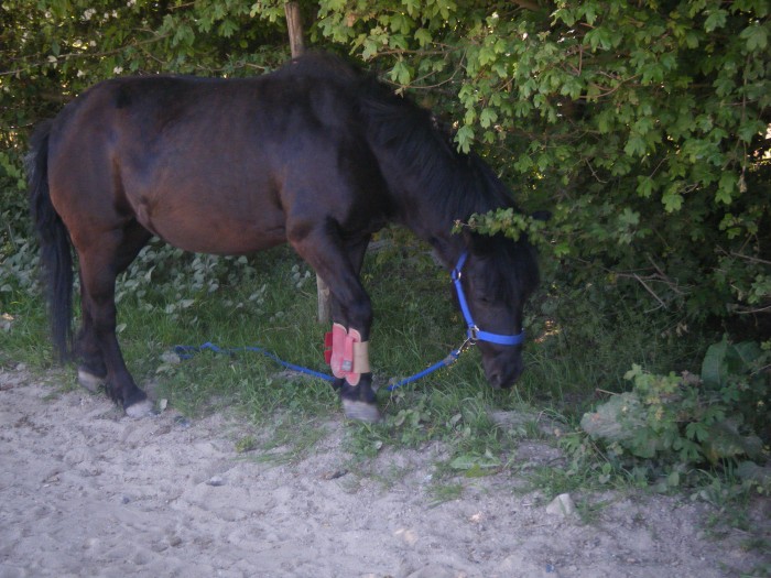 Photo de profil de floraa