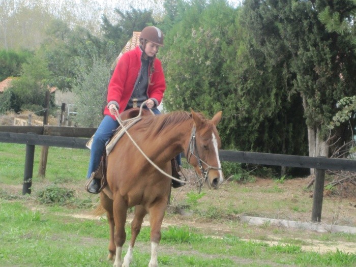 Photo de profil de berkani