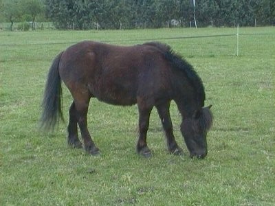 Photo de profil de ameliechevaux