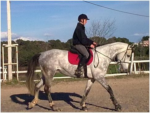 Photo de profil de jean_patrice