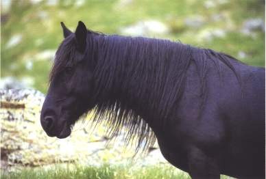 Photo de profil de hisander