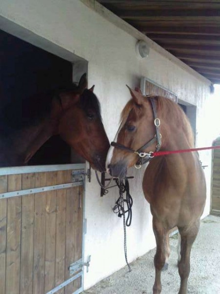 Photo de profil de romancedidine