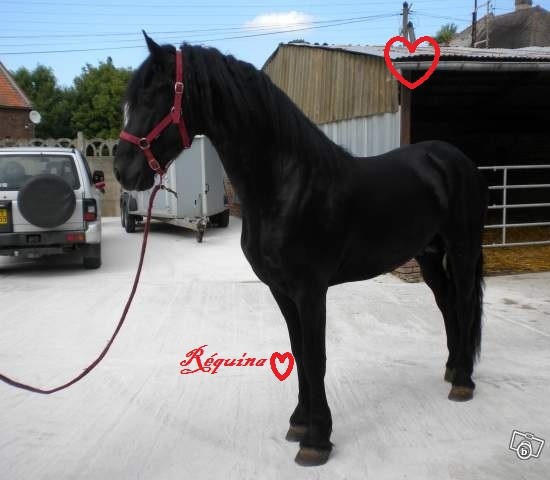 Photo de profil de julia76