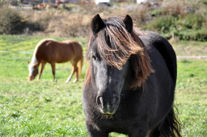 Photo de profil de zazoe