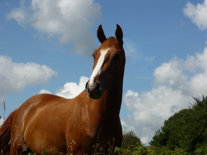 Photo de profil de queldo