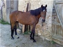 Photo de profil de clemdu77