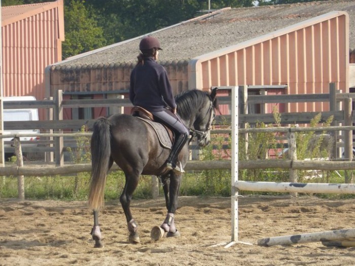 Photo de profil de evilxm