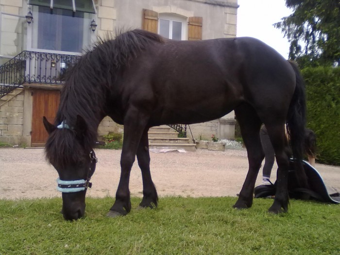 Photo de profil de manon7105