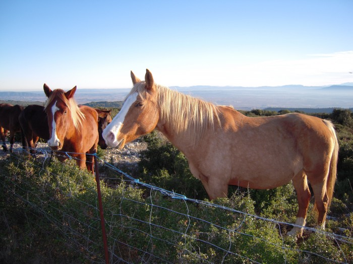 Photo de profil de cocopaint