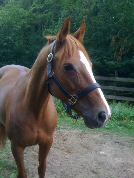 Photo de profil de laurita