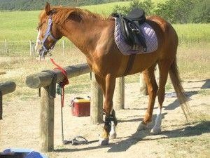Photo de profil de kalilou