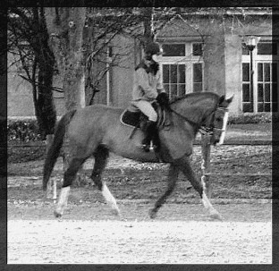 Photo de profil de valentineca