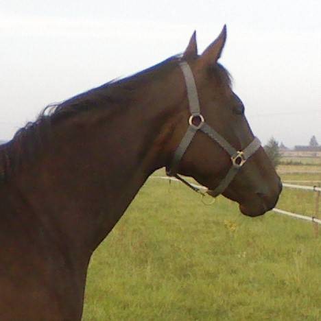 Photo de profil de copp57