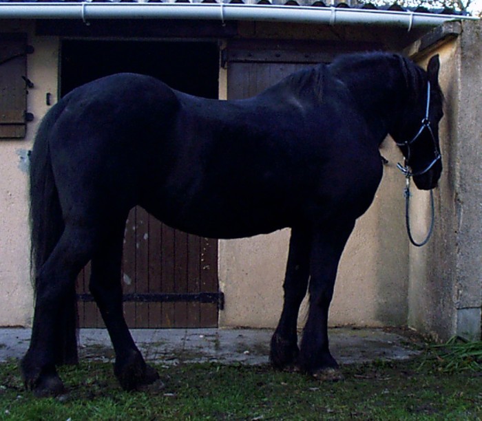 Photo de profil de lebonfrison