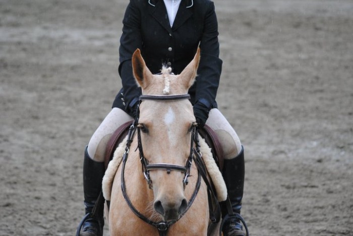 Photo de profil de naima38
