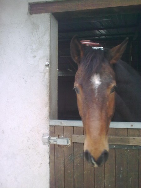 Photo de profil de mimie08400