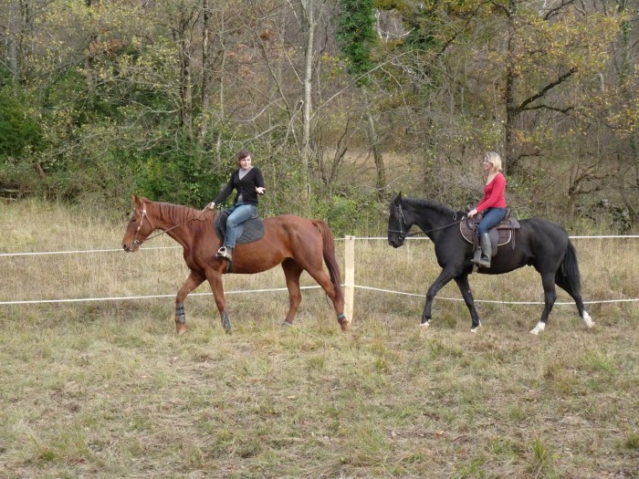 Photo de profil de chevauxlabuisse