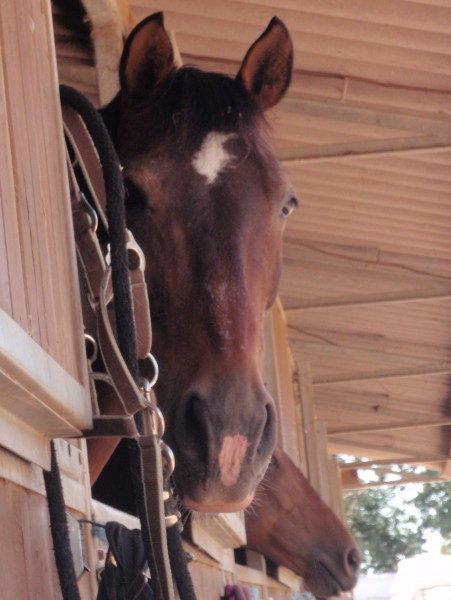 Photo de profil de ourika