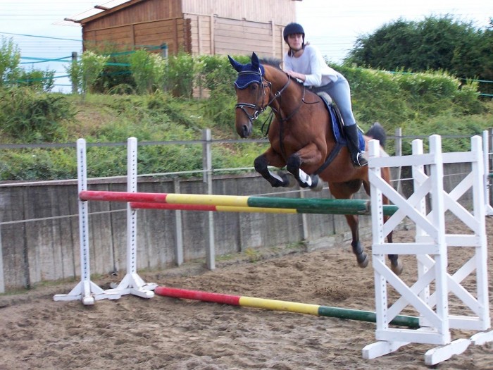 Photo de profil de laurencelou