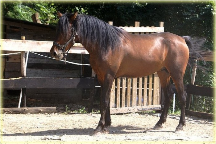 Photo de profil de cordelia