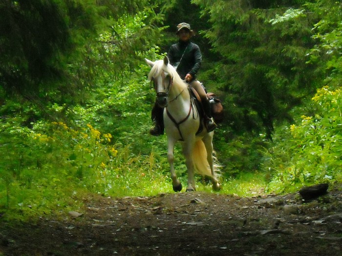 Photo de profil de joannam