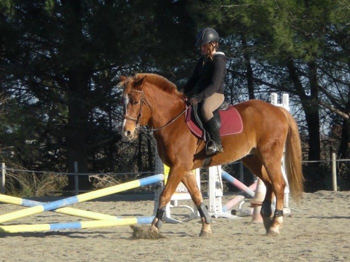 Photo de profil de liisou