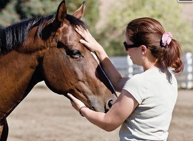 Photo de profil de americanhorse
