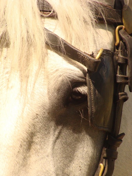 Photo de profil de doubleval