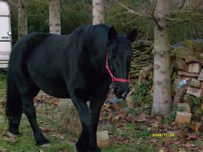 Photo de profil de domlodico