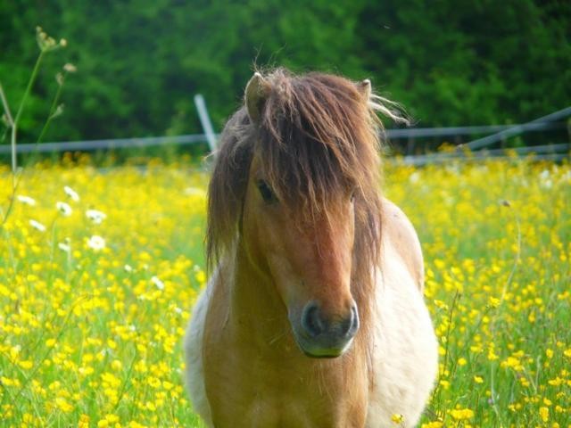 Photo de profil de starou