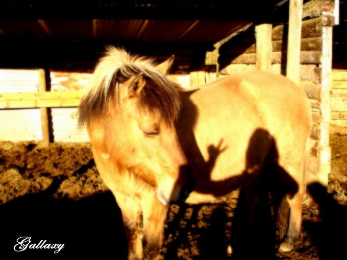 Photo de profil de lili38090