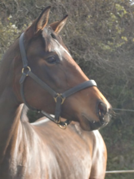 Photo de profil de arkanna