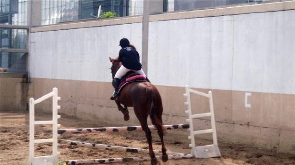 Photo de profil de isoux