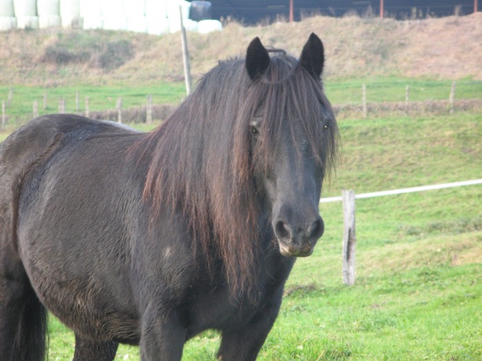 Photo de profil de ynnaf