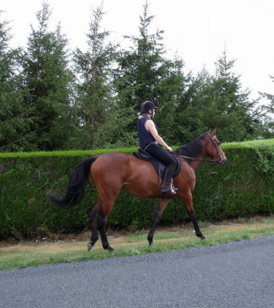 Photo de profil de sophie51