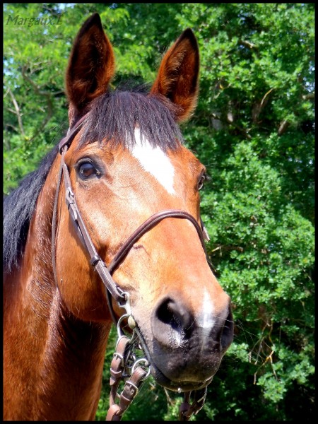 Photo de profil de margarita33